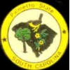 SOUTH CAROLINA PIN STATE EMBLEM SOUTH CAROLINA PIN